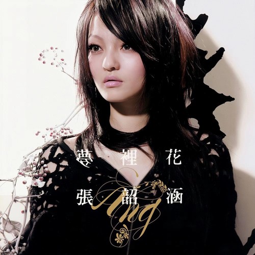 C大调 - 张韶涵