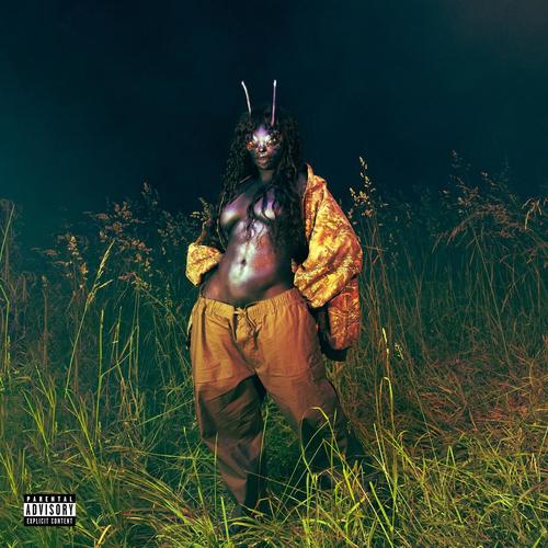 Shirt (360 Reality Audio|Explicit) - SZA