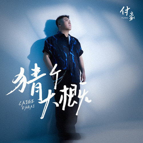 猜个大概 (和声伴奏) - 付豪